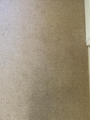 Guest review image 1 of 2, zoom in