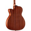 Alvarez AF30CE Artist Series OM/Folk Acoustic-Electric Guitar - 2 of 4