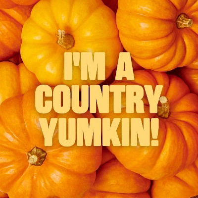 noosa Pumpkin Aussie Style Yogurt - 11g Protein 8oz