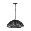 Capital Lighting Naomi 1 - Light Pendant in  Matte Black - image 2 of 4