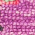 purple/multi
