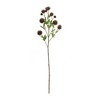 Faux Brown Allium Spray Set of 6 26 inch Height Plastic and Polyester Stems for Displays By Melrose - 3 of 3