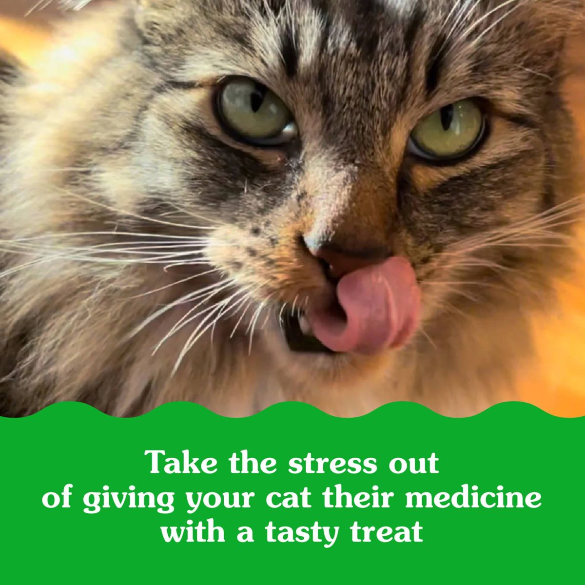 Greenies Feline Pill Pockets Salmon Cat Treats - thumbnail 8