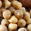 Van Zyverden Set of 25 Bulbs Wood Hyacinths Hispanica Blue - 2 of 3