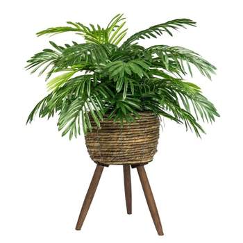 30" x 18" Artificial Phoenix Palm Plant in Basket Stand - LCG Florals