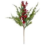 Northlight 20" Frosted Red Berry Artificial Christmas Branch Spray