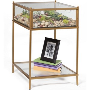 D'Eco Square Terrarium Display End Table w/Reinforced Glass in Gold Iron (18"x 18 x27") - Indoor Decor for Any Home or Office - Gift for Plant Lovers - 1 of 3