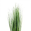 Northlight Artificial Onion Grass Bundle Wrapped with Jute Rope Decoration - 30.25" - Green - 2 of 4