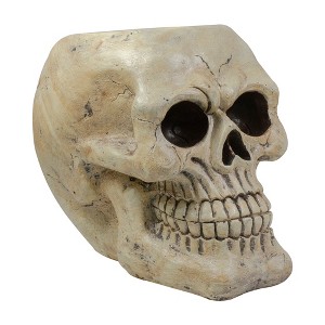 Northlight Halloween Skull Decoration - 11" - Ivory and Black - 1 of 4