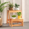 Tangkula 2-Tier Folding Plant Stand Portable & Foldable Wooden Flowerpot Shelf for Garden - 3 of 4