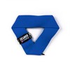 Katie's Bumpers Frequent Flyer Triangle Firehouse Dog Toy Small, Blue - 2 of 3