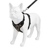 Voyager Step-In Lock Adjustable Dog & Cat Harness and 5ft Leash Combo - 4 of 4
