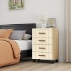 Garvee MilleLoom 4-Tier Plastic Chest of Drawers with 360¡ã Swivel Wheels Portable Storage Cabinet - 3 of 4