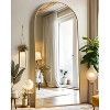Beautyolove 64"L x 21"W Arched Full Length Mirror Free Standing Leaning Mirror Hanging Mounted Mirror - 3 of 4