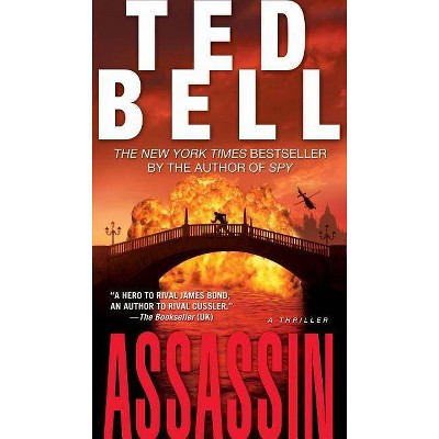 Assassin - by  Ted Bell (Paperback)