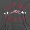 University of Indianapolis Official Hounds Adult Pull-Over Hoodie - 2 of 4
