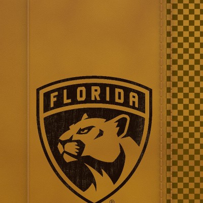 florida panthers