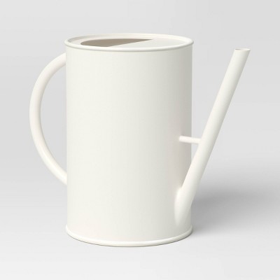 Style Selections White and Transparent Plastic Traditional Watering Can in  the Watering Cans department at