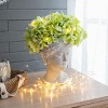Antique Lady Head Planters Pot Cement Gray Face Planter Statue Planter For Home Décor,Garden Statue-The Pop Home - 2 of 4