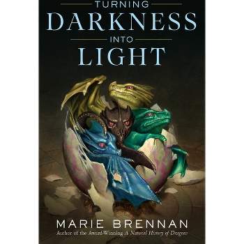 Turning Darkness Into Light - by  Marie Brennan (Paperback)