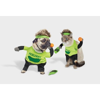 Halloween Pickleball With Toy Dog And Cat Frontal Costume With Paddle ...