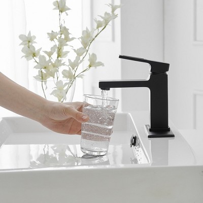 Matte Black Single-Handle Bathroom Faucet with Drain Assembly
