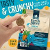 Earthborn Holistic EarthBites Salmon & Pumpkin Grain-Free Crunchy Dog Treats - 10 oz - 3 of 4