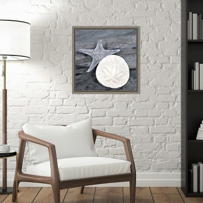 Nautical Shell Still Life Canvas Art in Blue-Gray Frame