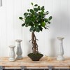 Nearly Natural 2-ft Ficus Bonsai Artificial Tree in Decorative Planter - 3 of 4