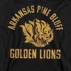 University of Arkansas at Pine Bluff Official Golden Lions Logo Adult Pull-Over Hoodie - 2 of 4