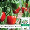 GreenView Multi-Purpose and Starter Fertilizer, 13-13-13 for Trees, Shrubs, Flowers, Vegetables & New Lawns, 33lb - 3 of 4