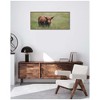 Kate and Laurel Framed Canvas Wall Art Print Highland Cow I by Laura Evans, 40 x 18 Sylvie Walnut Frame, Rustic Farmhouse, Animal Art for Wall Decor - 4 of 4