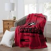 NCAA Georgia Bulldogs Digitized 60 x 80 Raschel Throw Blanket - 3 of 4