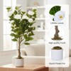 2.8FT Artificial Camellia Tree with White Flowers, Faux Plant in Pot for Home Office Decor - 2 of 4
