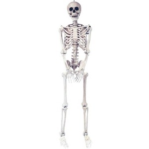 Halloween Express  5 ft Skeleton Pose & Hold Decoration - 1 of 4