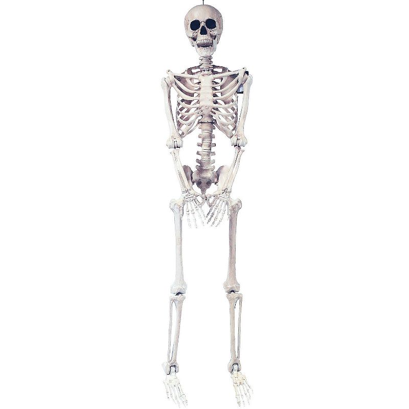 Halloween Express  5 ft Skeleton Pose & Hold Decoration, 1 of 7