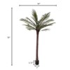 Nature Spring Robellini Palm Artificial Tree - 6.5 ft Potted Faux Plant for Office or Home Decor - Realistic Greenery for Indoor or Outdoor Use - 4 of 4