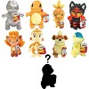 Pokemon Fire Type 8" Plush Assorted Blind Box, 3-Pack - Receive 3 Randomly Selected Fire Type Pokemon Characters & Rare Collectible Silver Pokemon - - 3 of 4