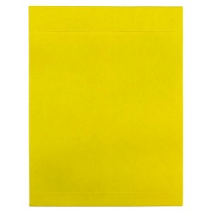 JAM Paper 10" x 13" 10ct Heavy Duty Tyvek Envelopes - 1 of 2