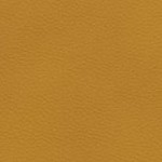 los angeles chargers