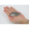 Collectible Wildlife Gifts | Fish, Tilapia, Cichlid, Nile Perch, Museum Quality, Hand Painted, Rubber Fish, Toy Model, Gift,  3"   CH532 BB159 - 3 of 4