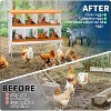 Chicken Nesting Boxes Galvanized Steel Rustproof Egg Laying Box with Egg Collection Systems, Hen Eggs Laying Box, for Chicken House/Duck House/Hen - 3 of 4