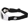 2 Pairs of Birdz Eyewear Eagle Safety Goggles - 4 of 4