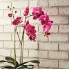 Plum & Post Phalaenopsis X 2 Drop-In 29" - 3 of 3