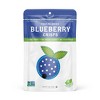 Nature's Turn Freeze-Dried Fruit Snacks - Blueberry Crisps - No Sugar Added, Non GMO, Gluten Free, Nothing Artificial 34g (1.20oz) - 6 Pack - 2 of 3
