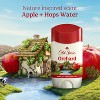 Old Spice Anti-perspirant Deodorant - Invisible Solid - Orchard - 2.6oz - 4 of 4