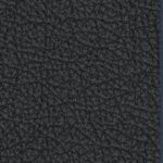 vegas golden knights