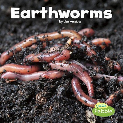 Earthworms - (Little Critters) by  Lisa J Amstutz (Paperback)