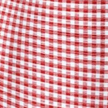 vivid red gingham