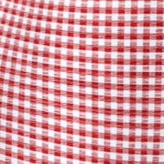 vivid red gingham